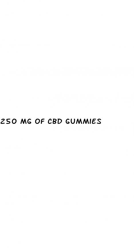 250 mg of cbd gummies