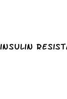 insulin resistance weight loss diet plan