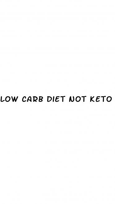 low carb diet not keto