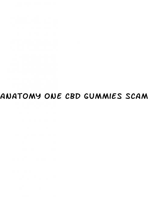 anatomy one cbd gummies scam