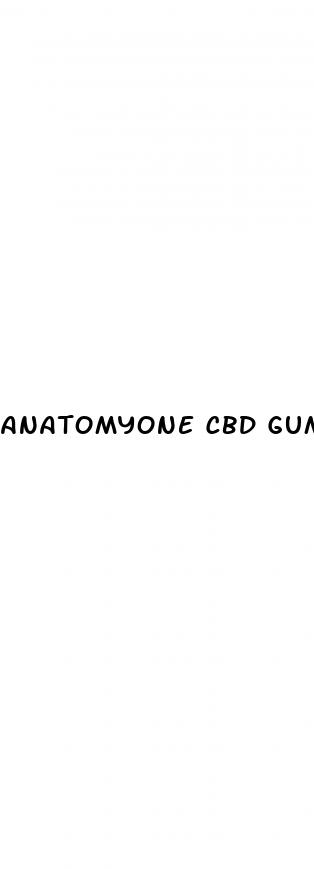 anatomyone cbd gummies review