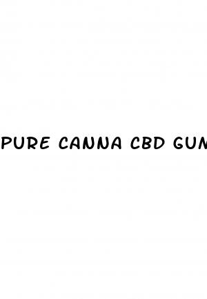 pure canna cbd gummies cost