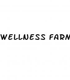 wellness farms cbd gummies price