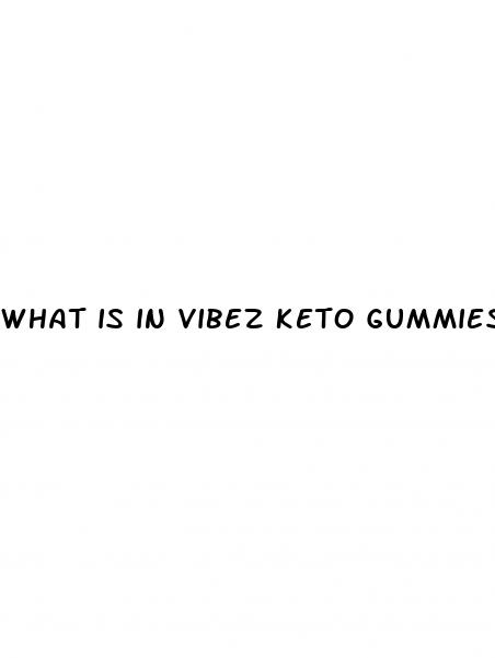 what is in vibez keto gummies
