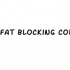 fat blocking code shark tank