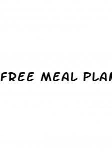 free meal plan for weight loss female