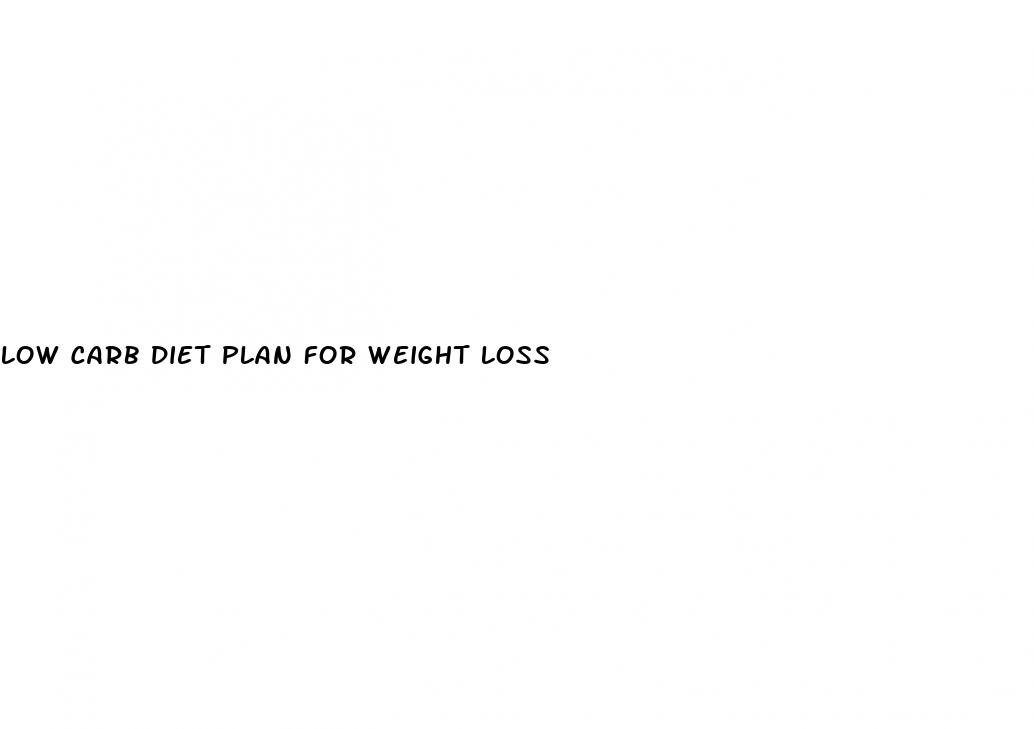 low carb diet plan for weight loss