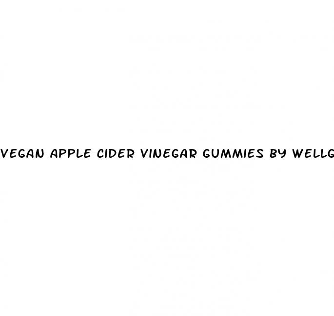 vegan apple cider vinegar gummies by wellgard
