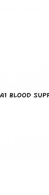 a1 blood support supplement reviews
