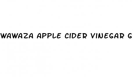 wawaza apple cider vinegar gummies