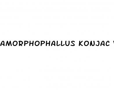 amorphophallus konjac weight loss