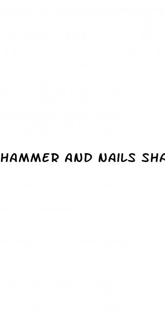 hammer and nails shark tank update 2021