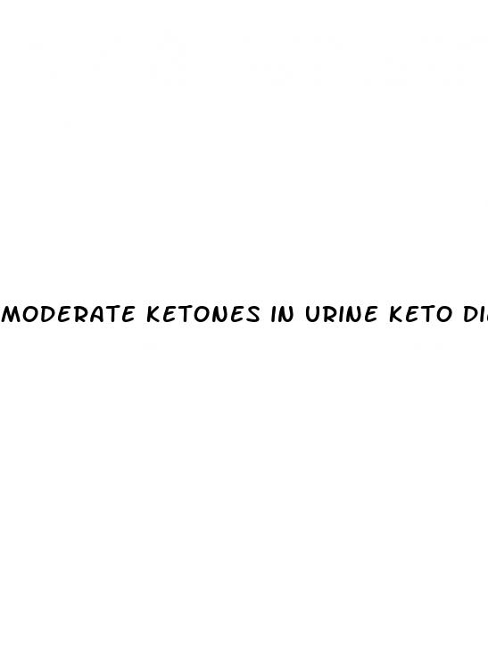 moderate ketones in urine keto diet
