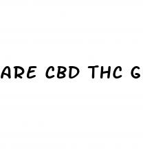 are cbd thc gummies legal