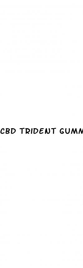 cbd trident gummies
