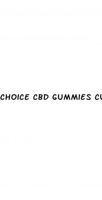 choice cbd gummies customer service