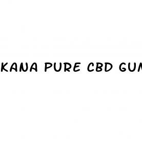 kana pure cbd gummies