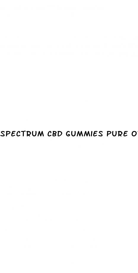 spectrum cbd gummies pure organic hemp extract 300mg
