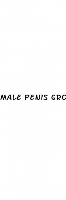 male penis growth