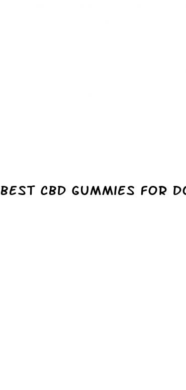 best cbd gummies for dogs anxiety