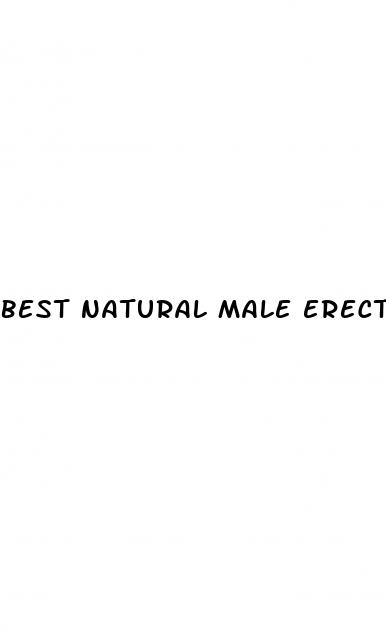 best natural male erection pills