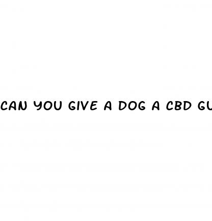 can you give a dog a cbd gummy