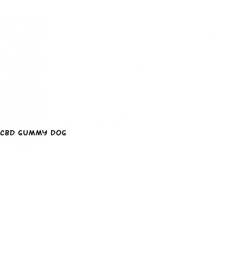 cbd gummy dog