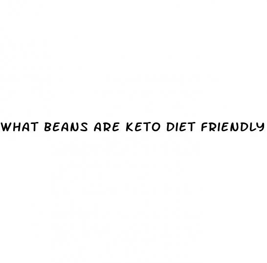 what beans are keto diet friendly