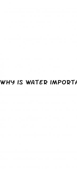 why is water important for weight loss