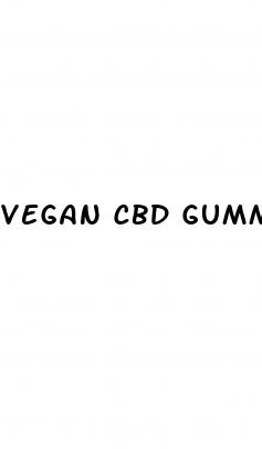 vegan cbd gummies 300mg