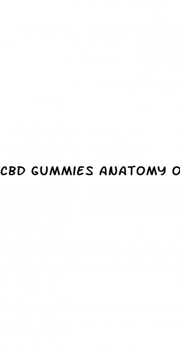 cbd gummies anatomy one