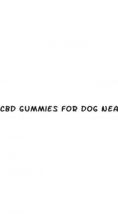 cbd gummies for dog near me