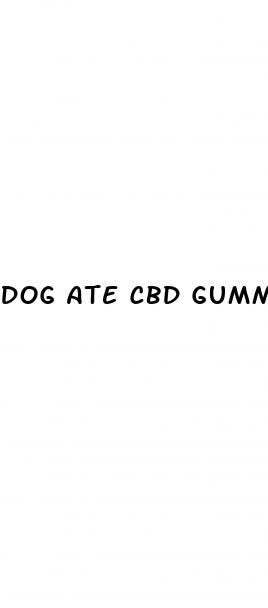 dog ate cbd gummy