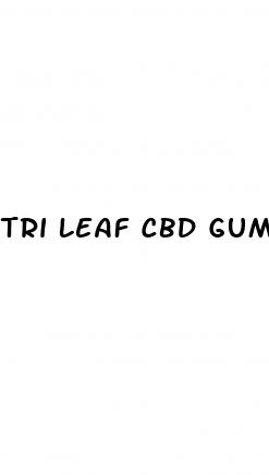 tri leaf cbd gummies review