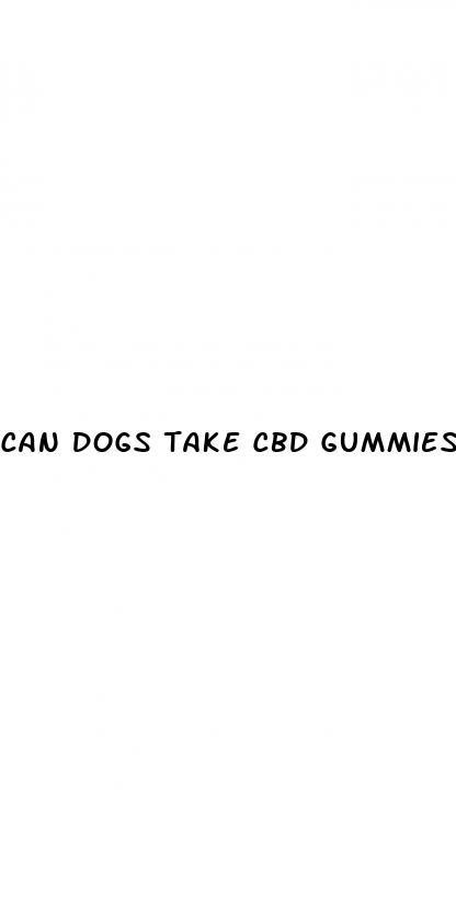 can dogs take cbd gummies