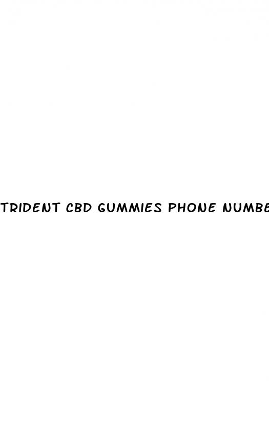 trident cbd gummies phone number