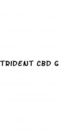 trident cbd gummies review