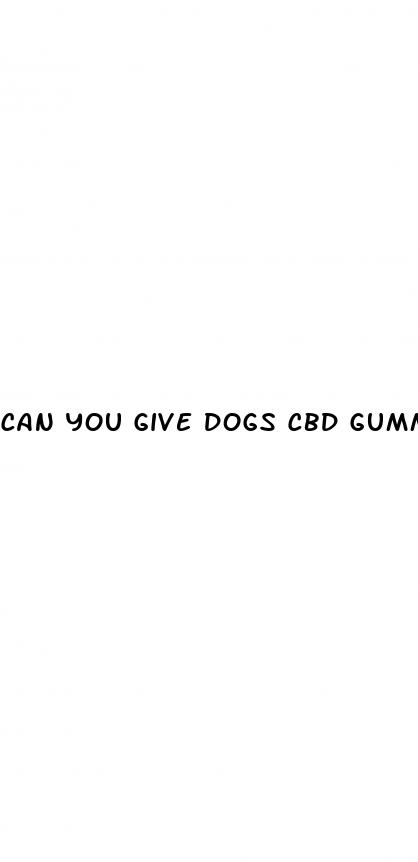 can you give dogs cbd gummies