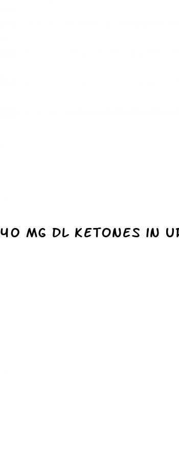 40 mg dl ketones in urine keto diet