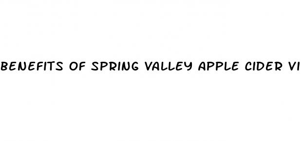 benefits of spring valley apple cider vinegar gummies