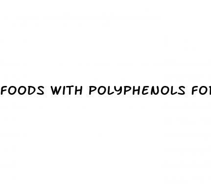 foods with polyphenols for weight loss