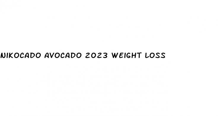 nikocado avocado 2023 weight loss