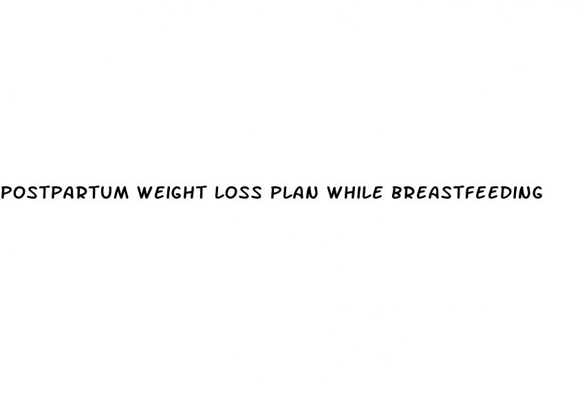 postpartum weight loss plan while breastfeeding