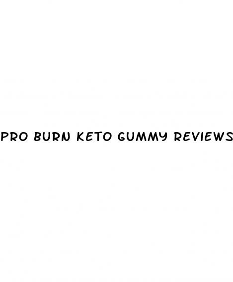 pro burn keto gummy reviews