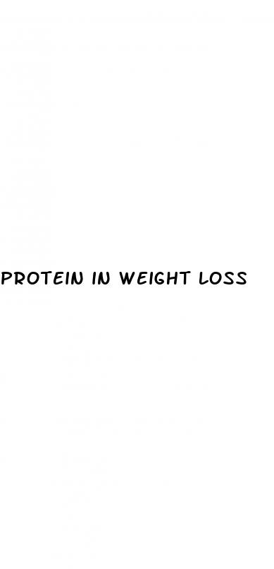 protein in weight loss