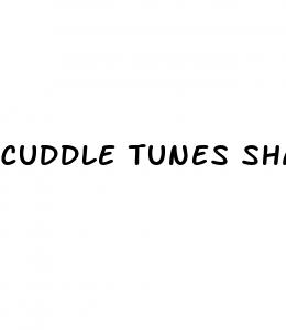 cuddle tunes shark tank