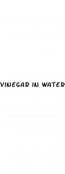 vinegar in water