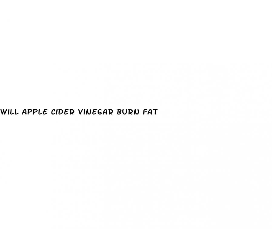will apple cider vinegar burn fat