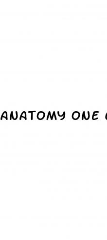 anatomy one cbd gummies
