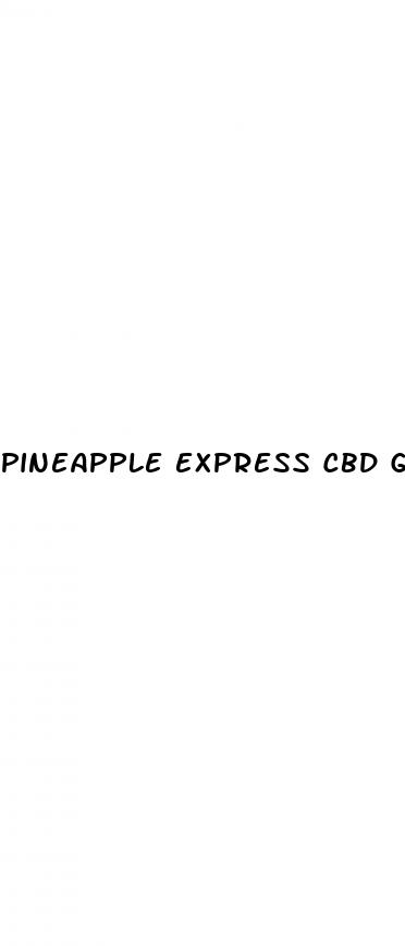 pineapple express cbd gummies